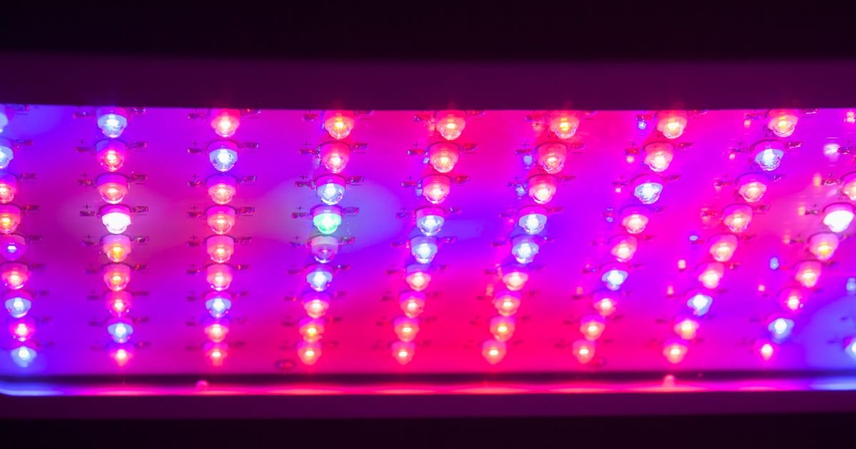 Tendencias emergentes en iluminación LED para maximizar la eficiencia energética