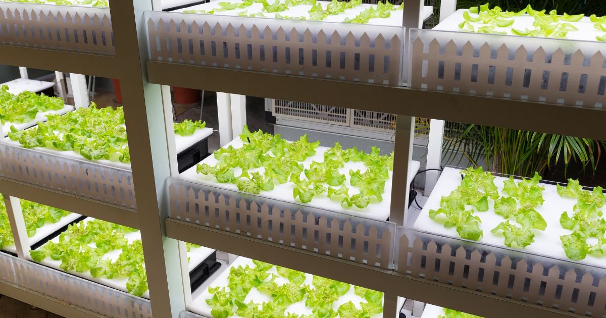 Comparativa de las mejores luces LED para cultivo según su PPFD