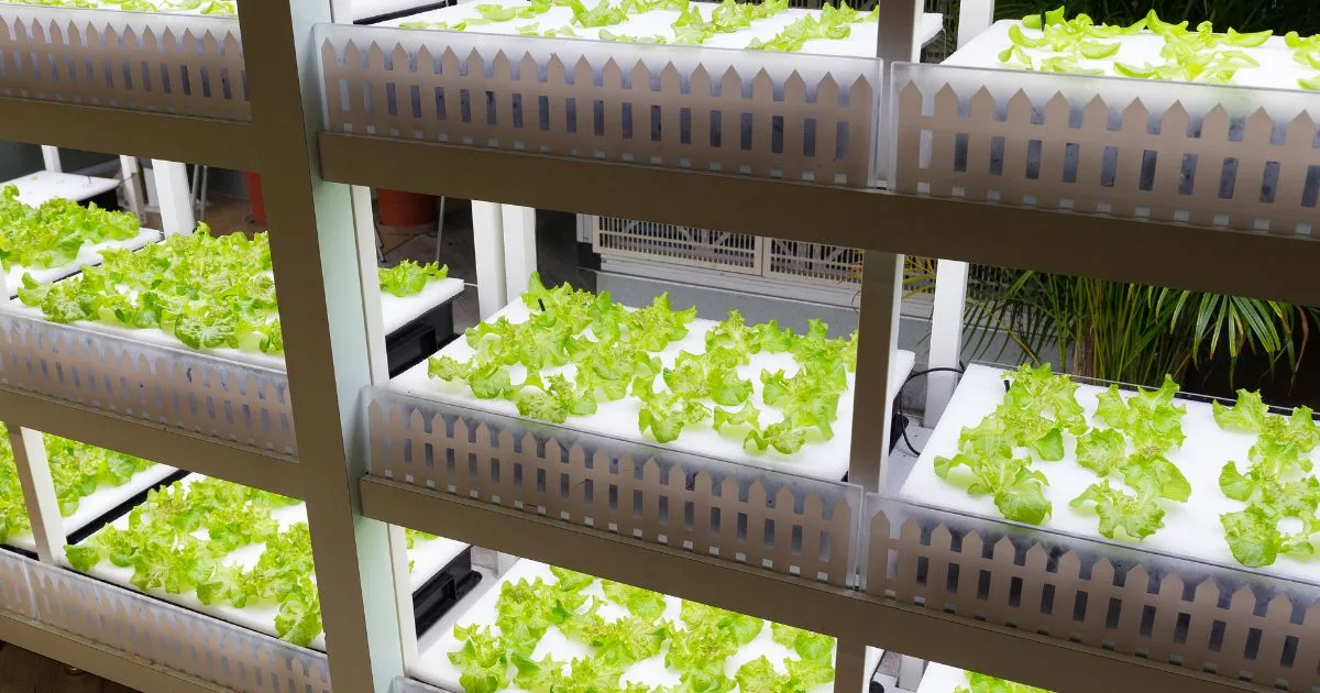 Se me calienta el armario de cultivo: por qué pasa y cómo bajar la temperatura