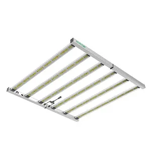 Led Pure Lazerlite Electronic 720 w Pro
