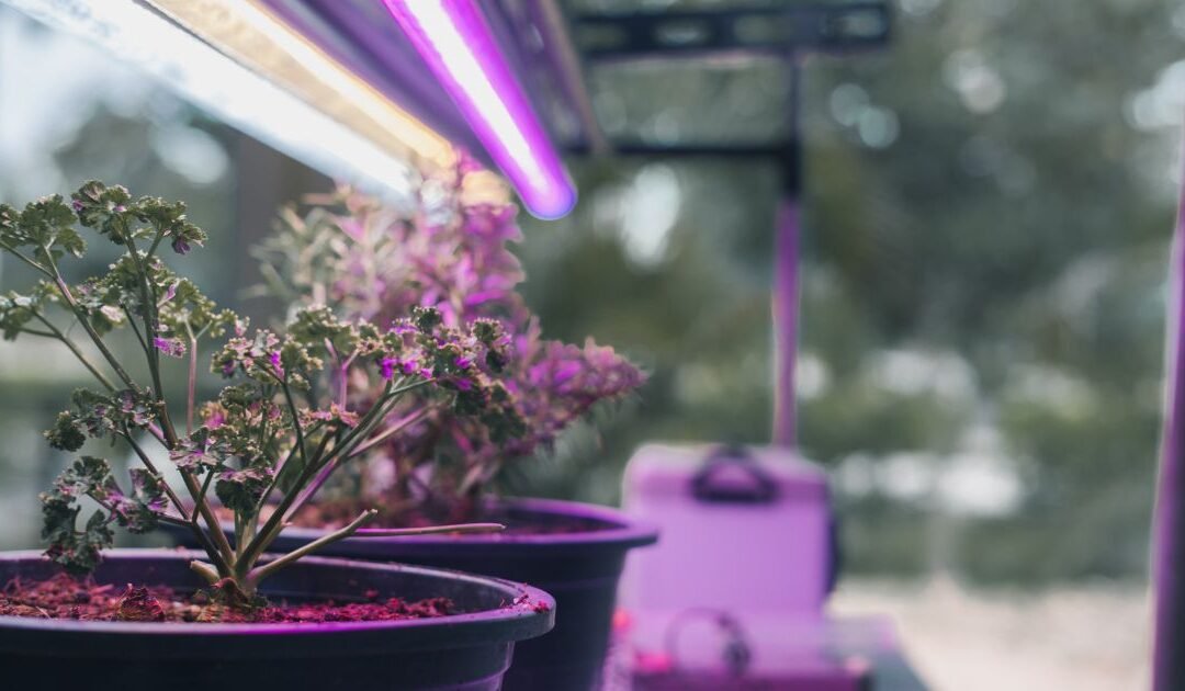 Innovaciones en tecnología LED: más allá de la eficiencia energética