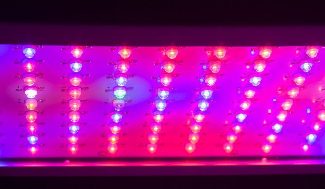 Tendencias emergentes en iluminación LED para maximizar la eficiencia energética