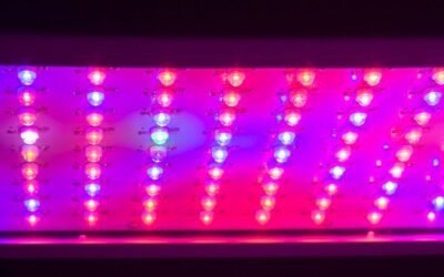 Tendencias emergentes en iluminación LED para maximizar la eficiencia energética